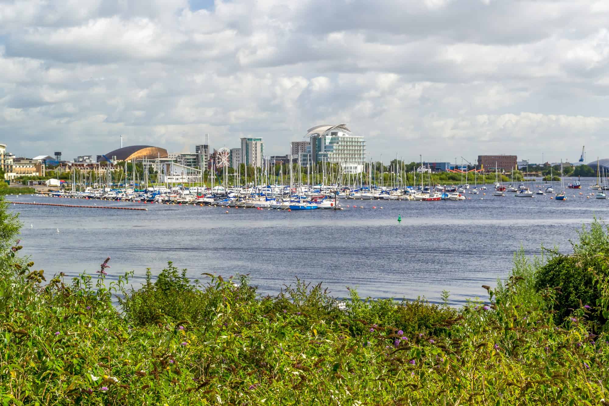 Cardiff Bay and marina