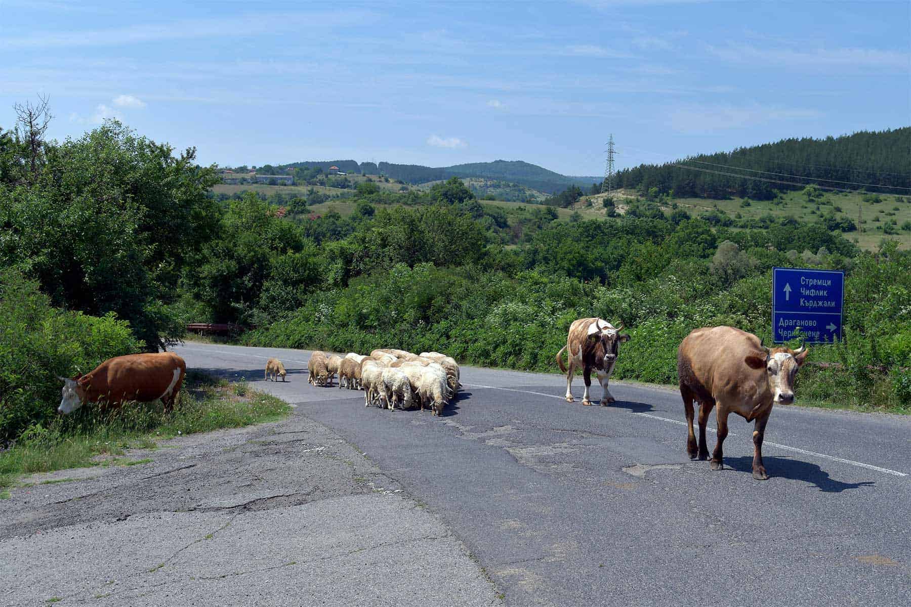 Driving in rural Bulgaria