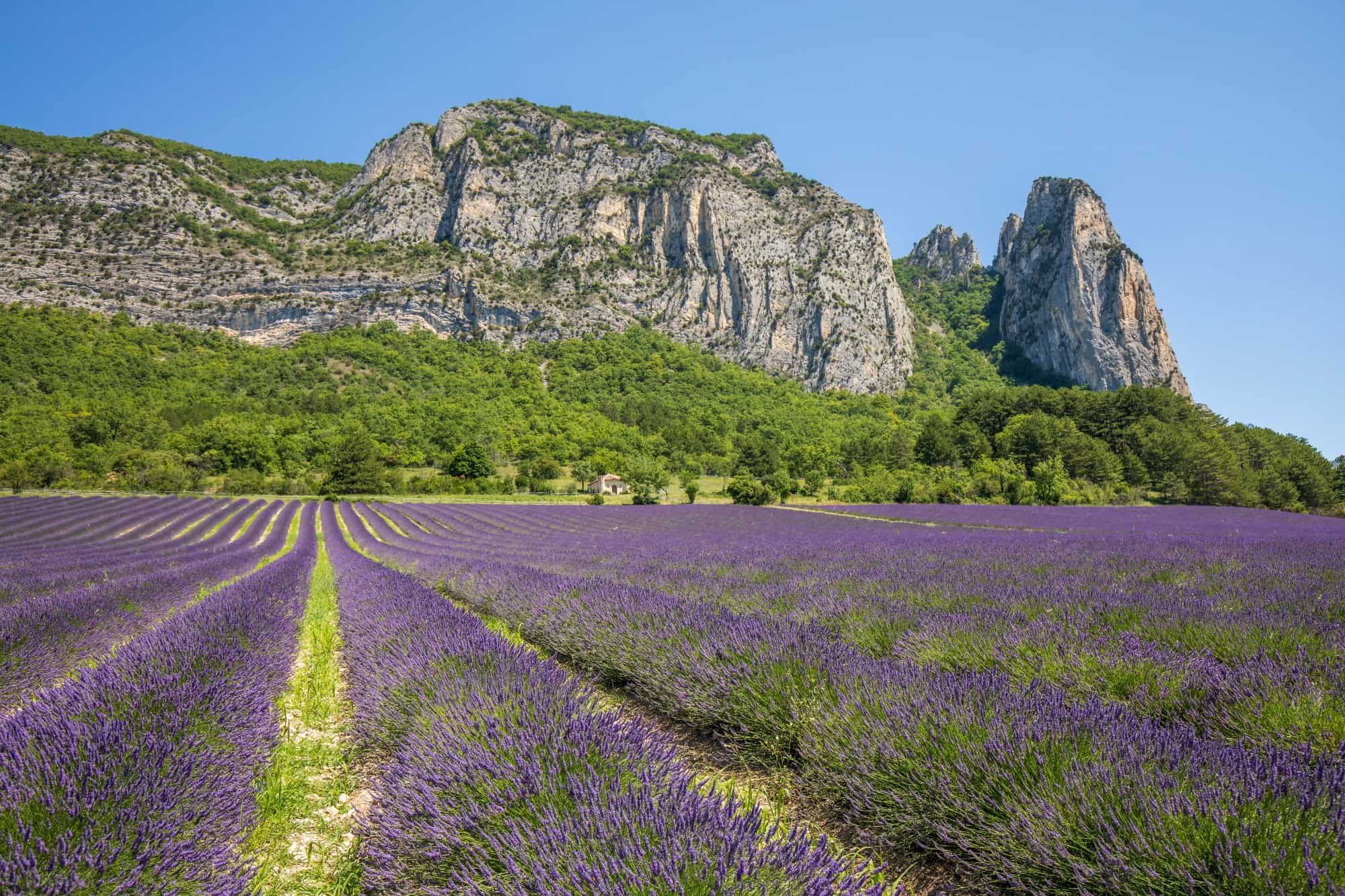 Living in Auvergne-Rhône-Alpes