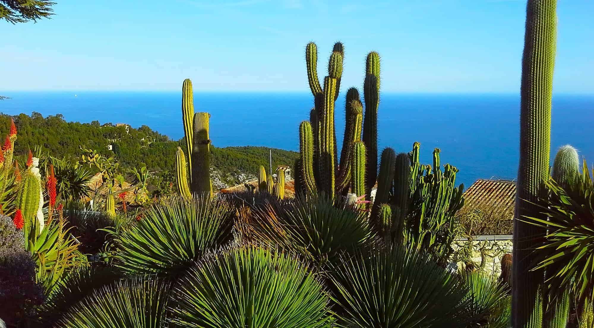 Living in the French Riviera