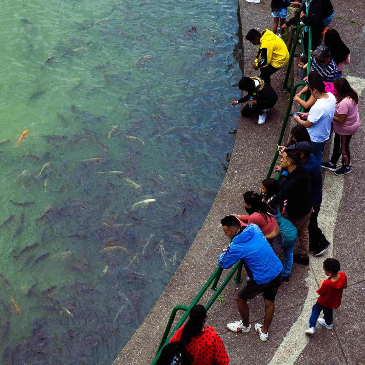 Family Life Colombia