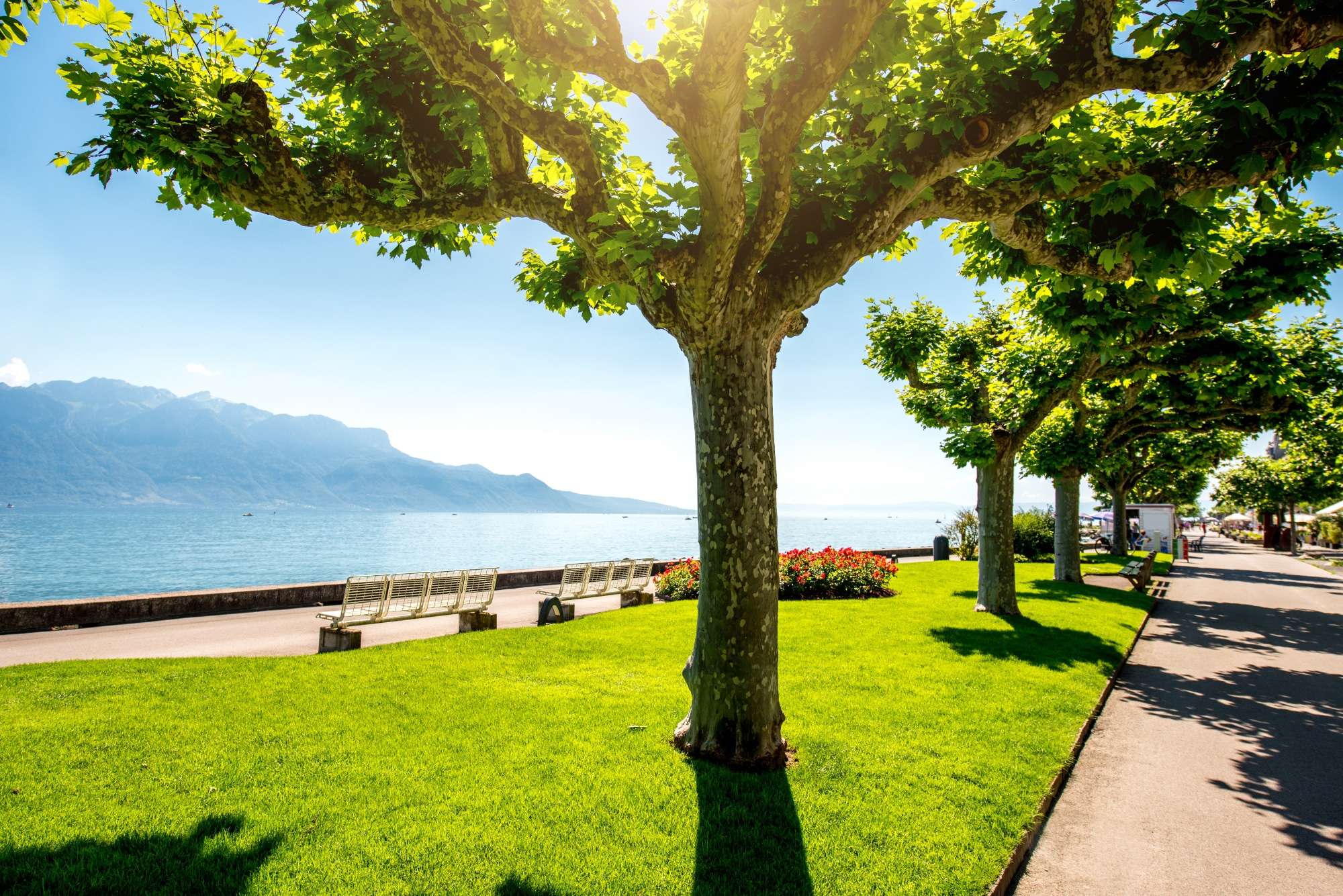 Lake Geneva with the stunning walks and public spaces. 