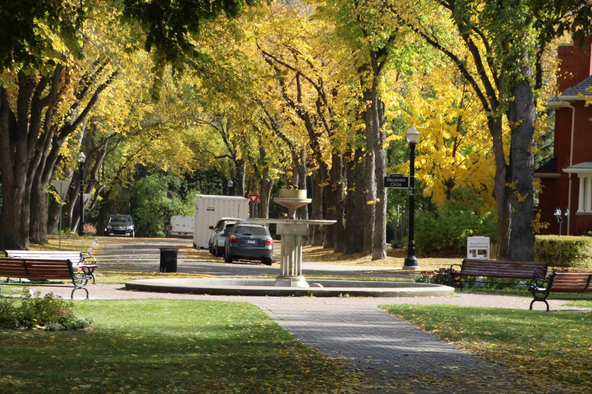 Glenora - quiet and leafy