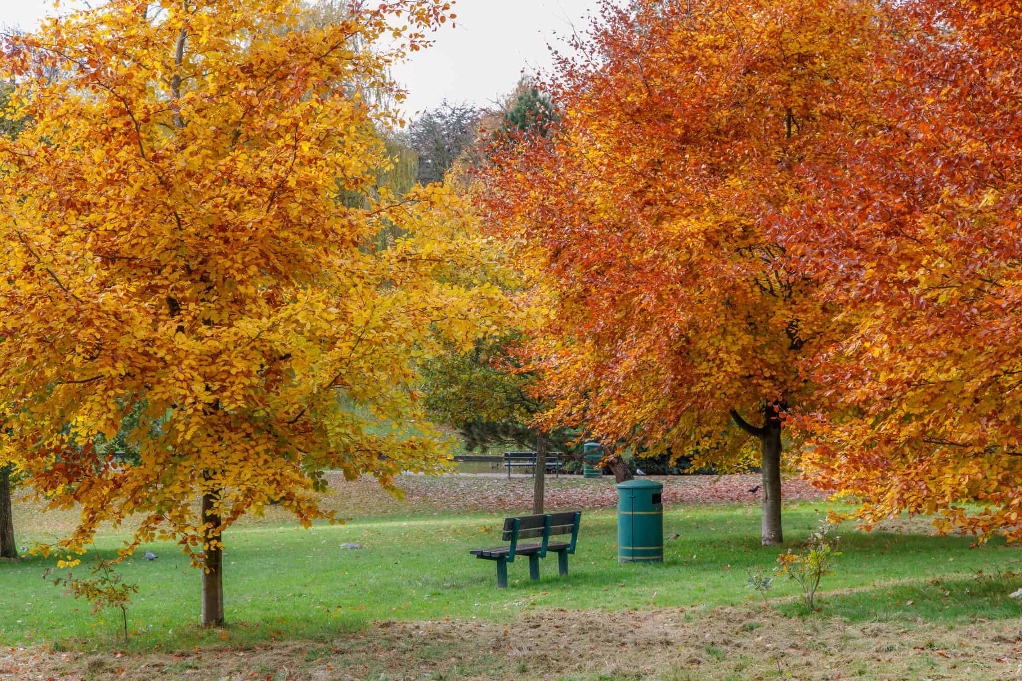 Living in Birmingham