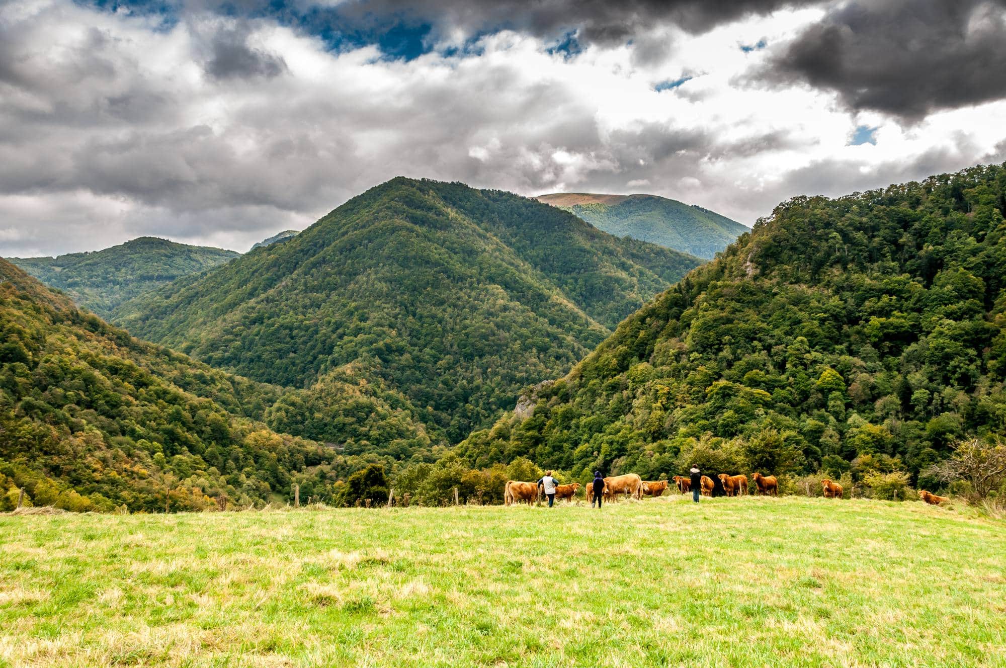 Beautiful landscapes of the Haute-Garonne department.