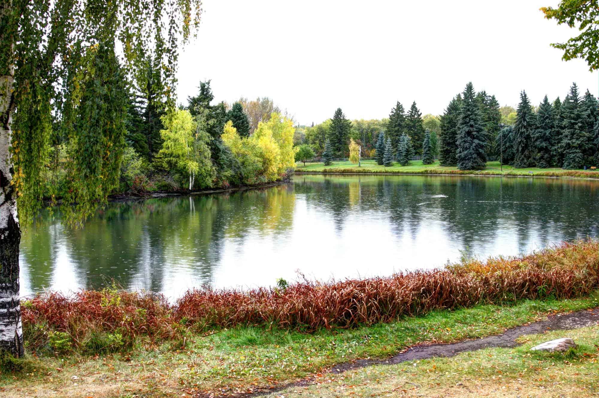 The view of Hawrelak Park&nbsp;and a&nbsp;beautiful river valley.
