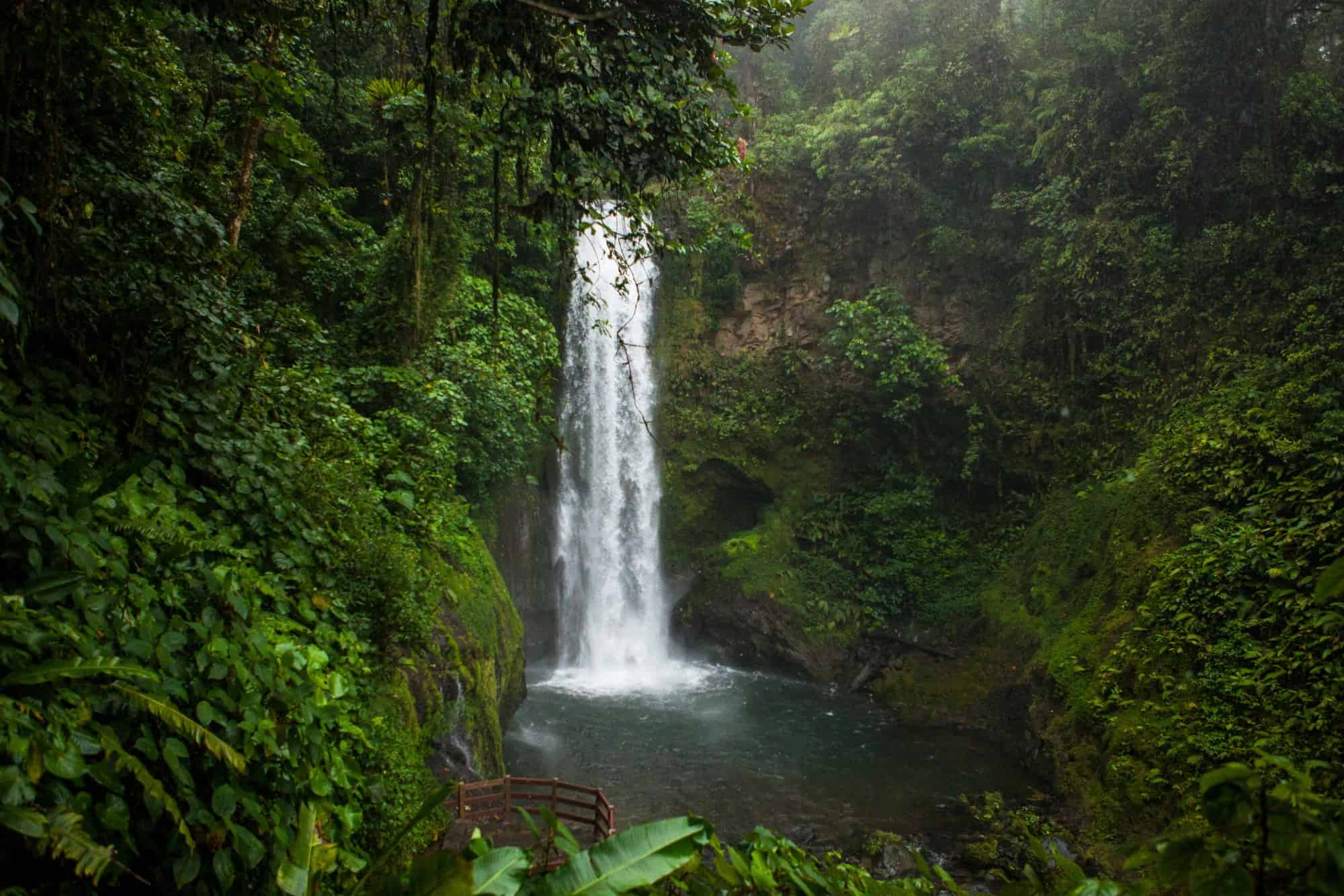 La Paz Waterfall Gardens in the San Jose area