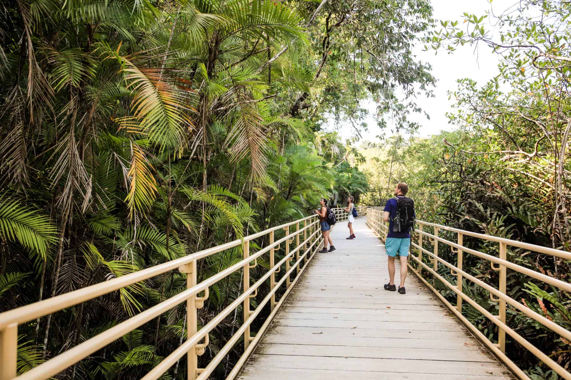 Manuel Antonio National Park is just 74 km away from Jaco.