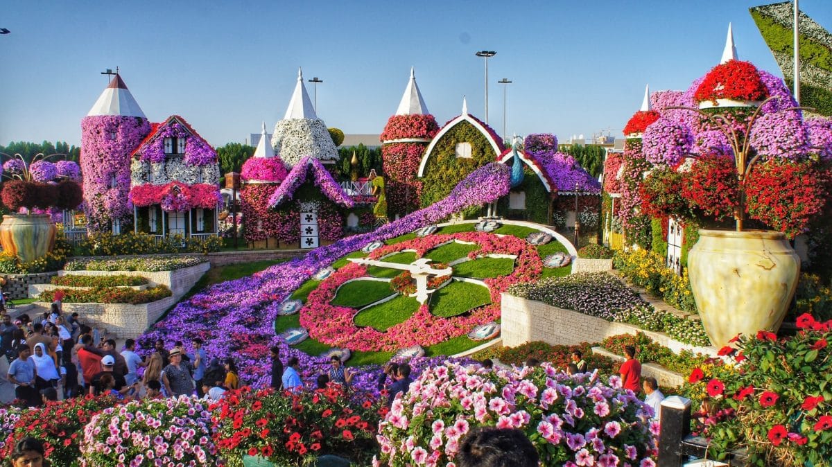 The beautiful Miracle Garden in Dubai