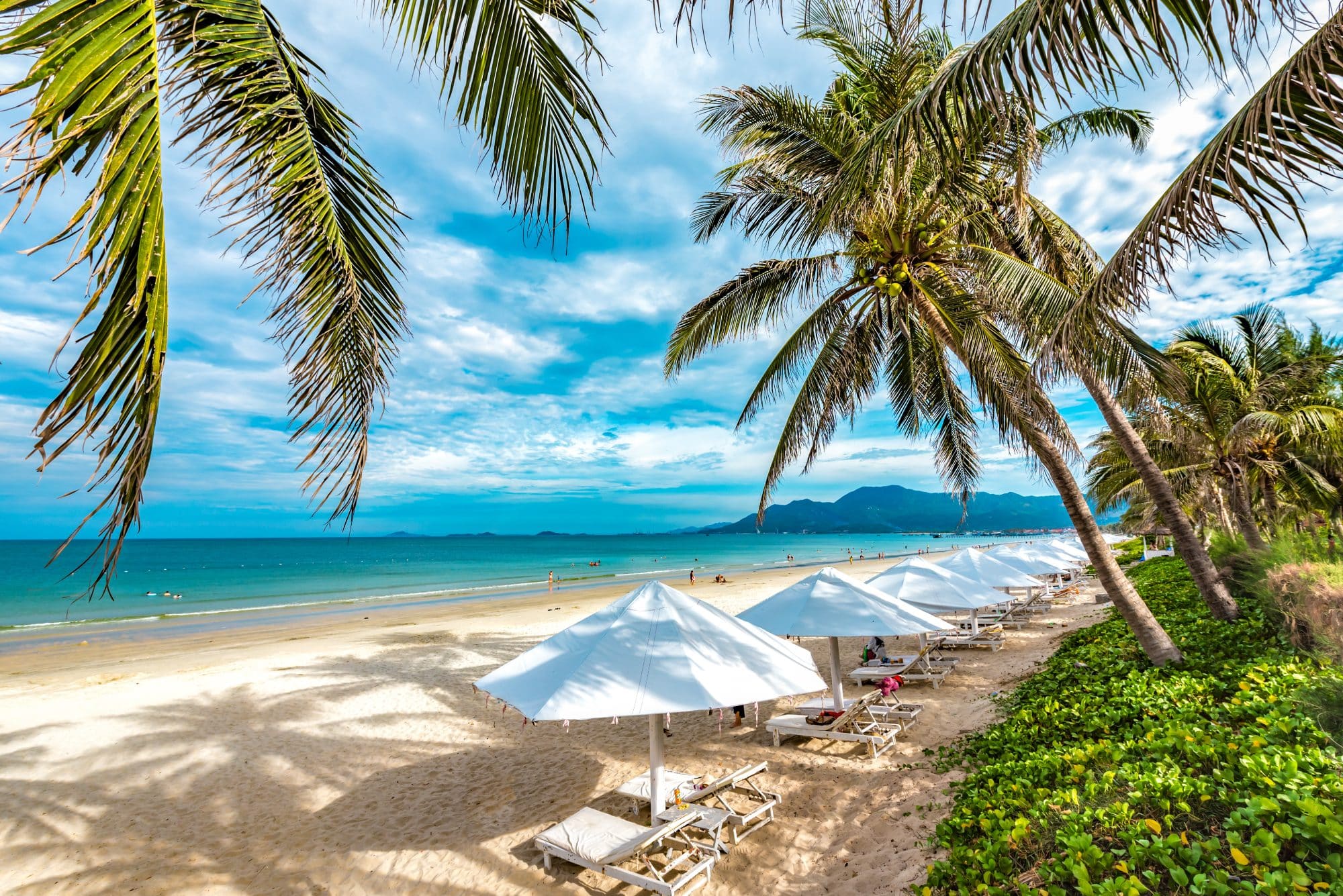 The city beach in Nha Trang, Vietnam, golden sand and palms.