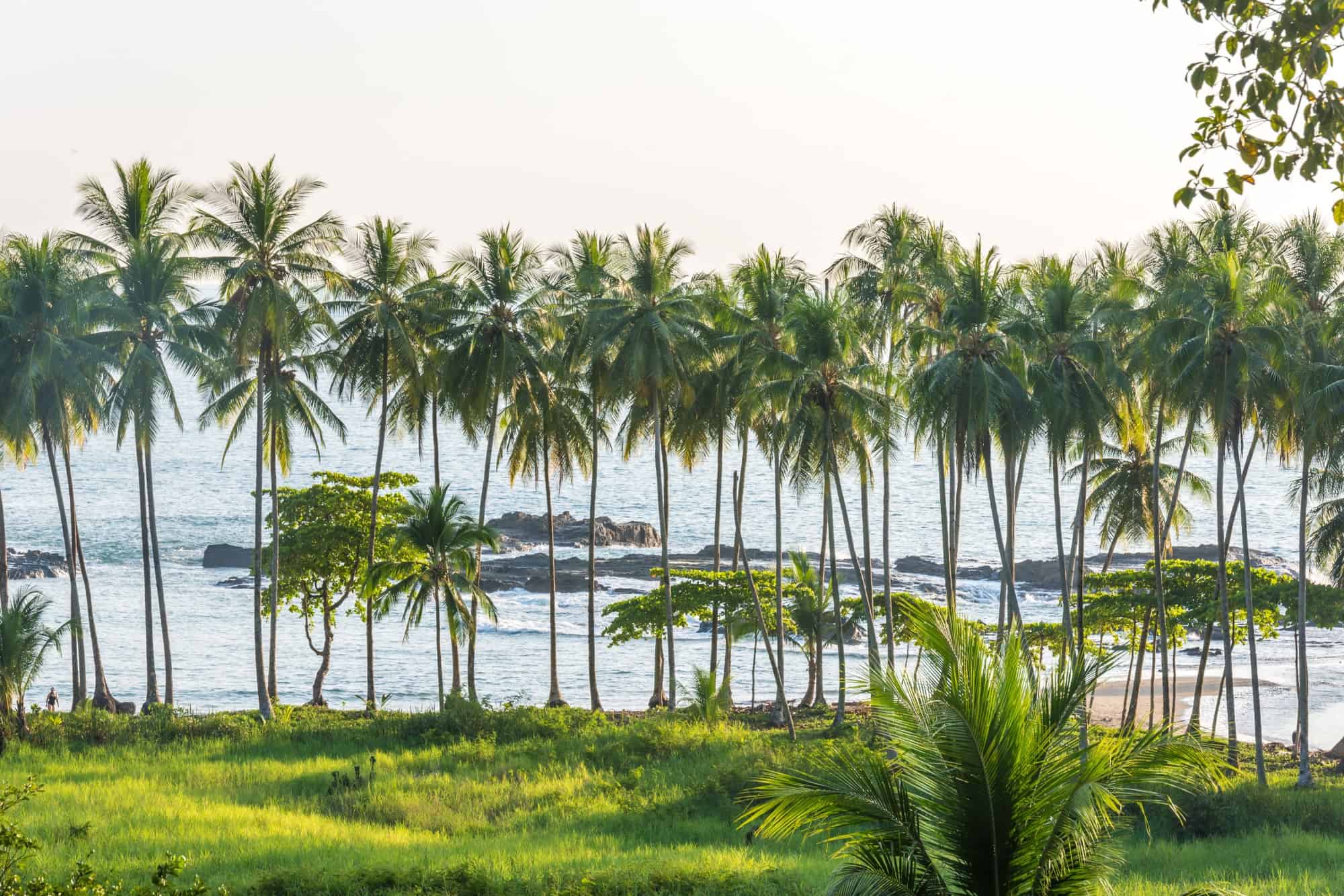 Living in the Central Valley of Costa Rica - Playa Hermosa
