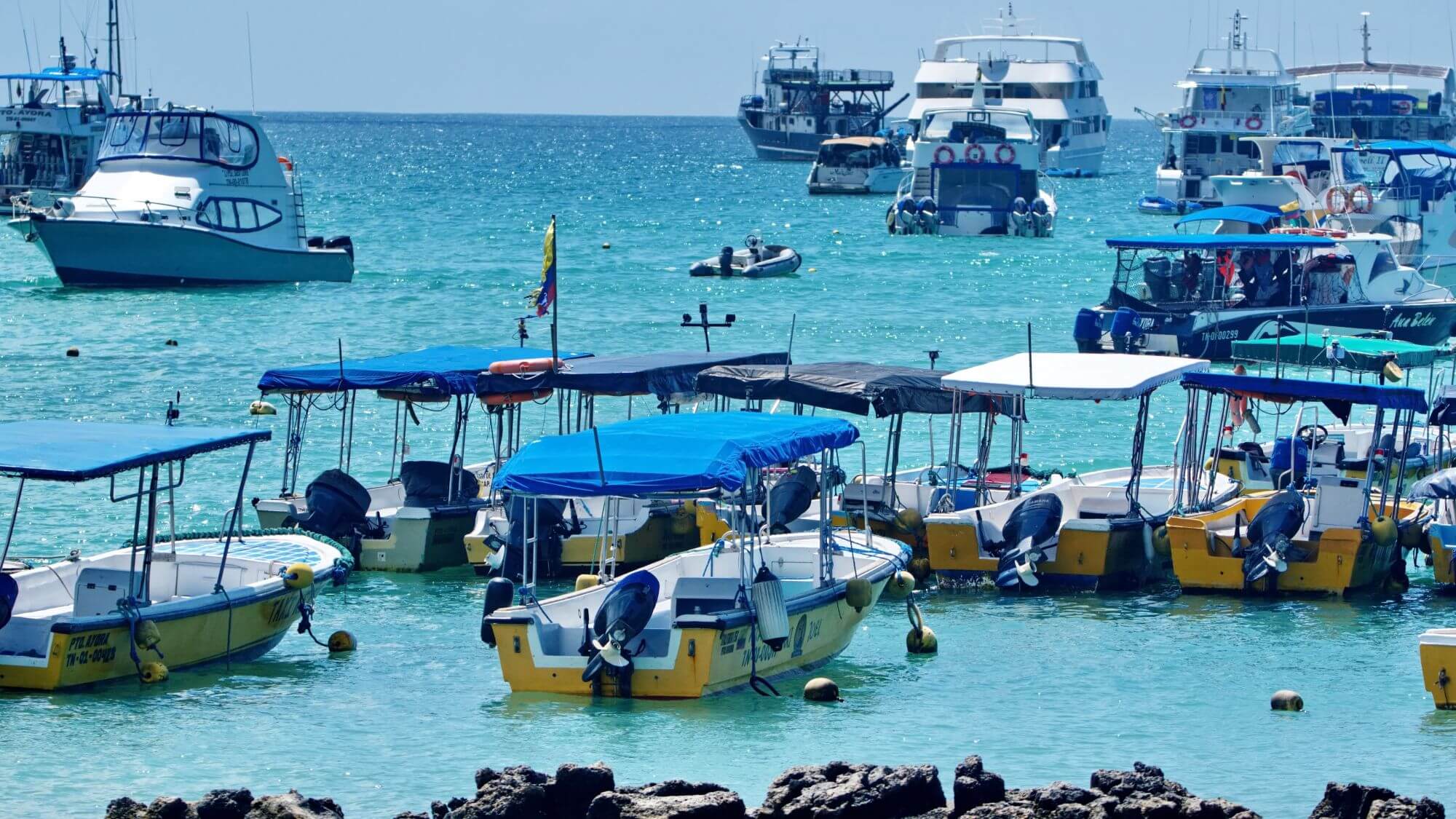 Row of water taxis in the harbor in Puerto Ayora, Santa Cruz Island, Galapagos, Ecuador