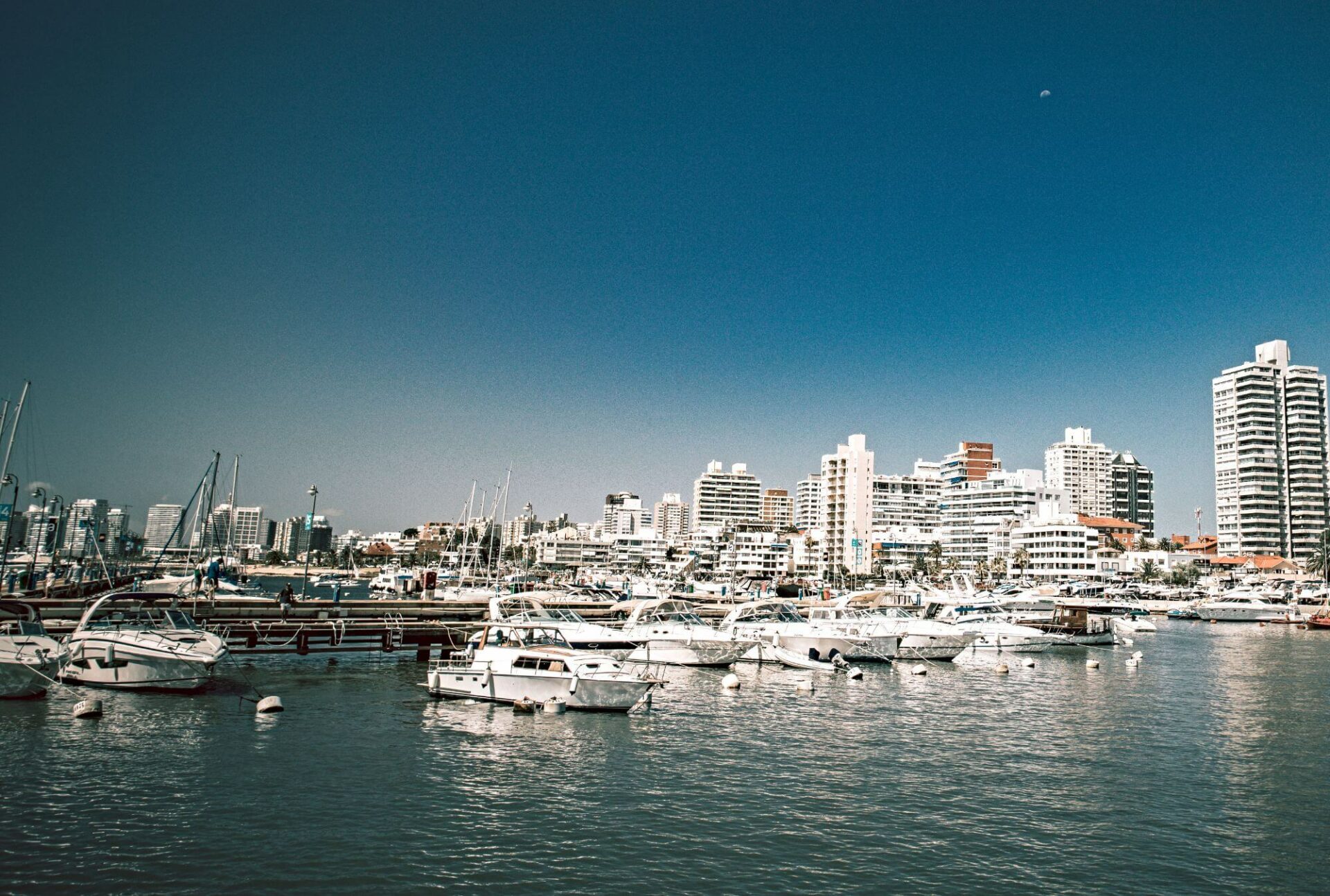 A marina in Punta del Este: yachts and boats moored, the cityscape in the background