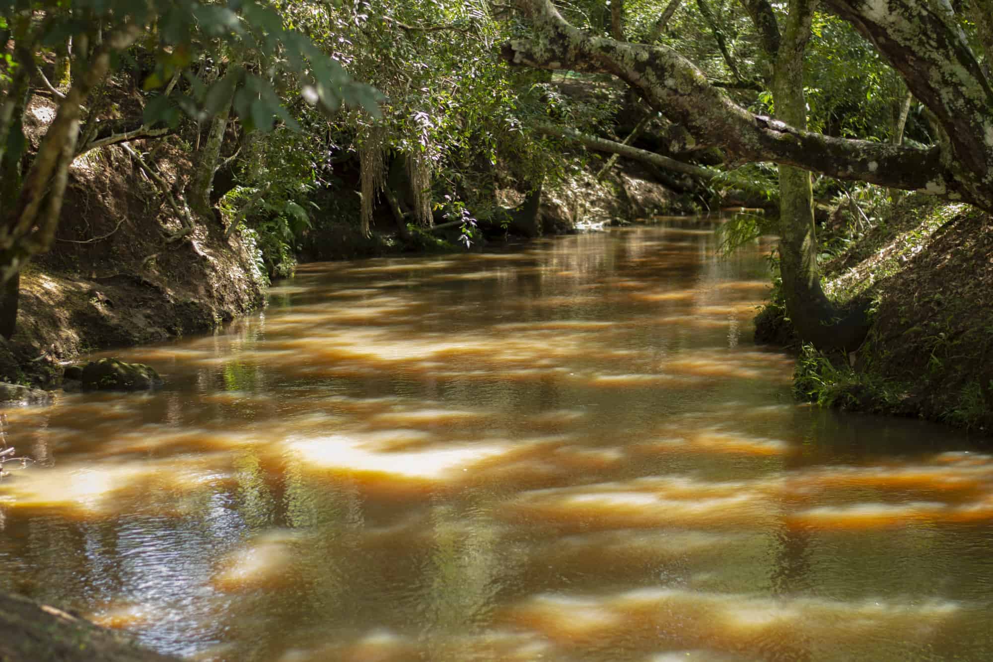 Best places to live in Paraguay - Piribebuy