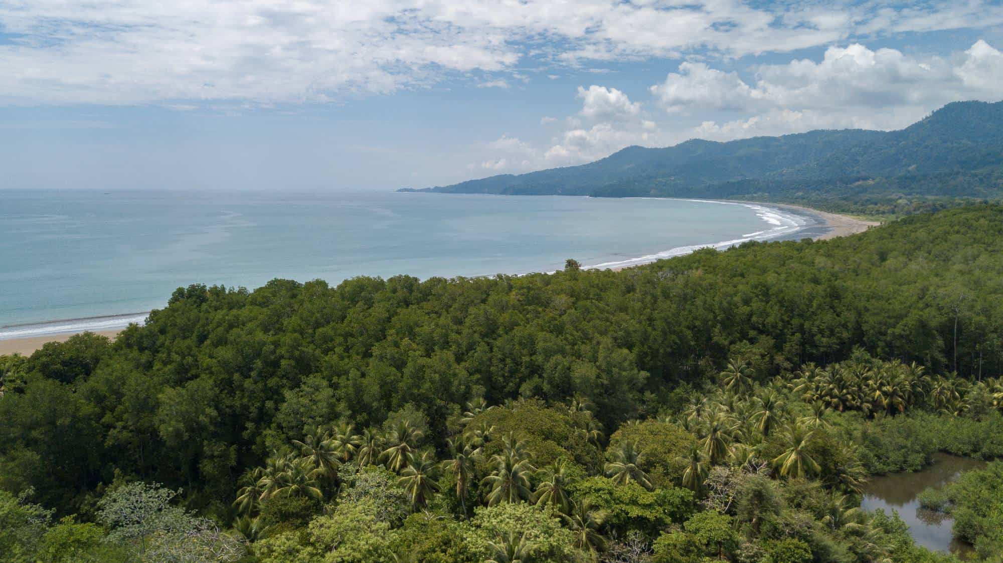 Santa Teresa beach and the jungle.