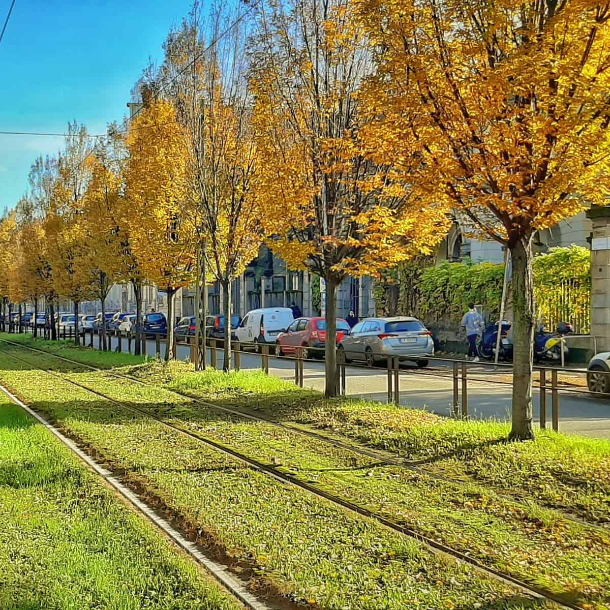 A tram is travelling along the city park in Citta Studi, Milan