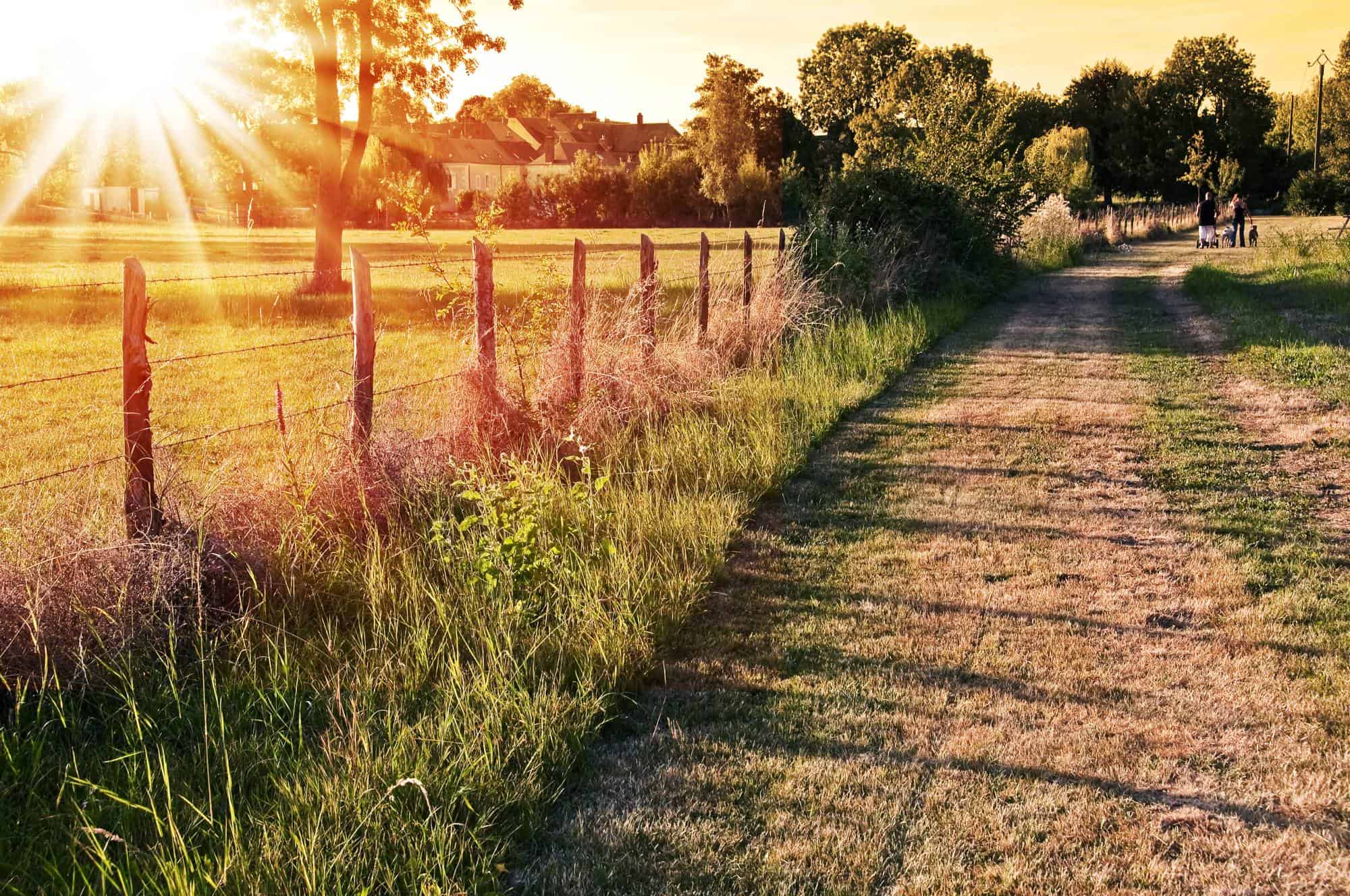 A walking path in the Sarthe countryside.