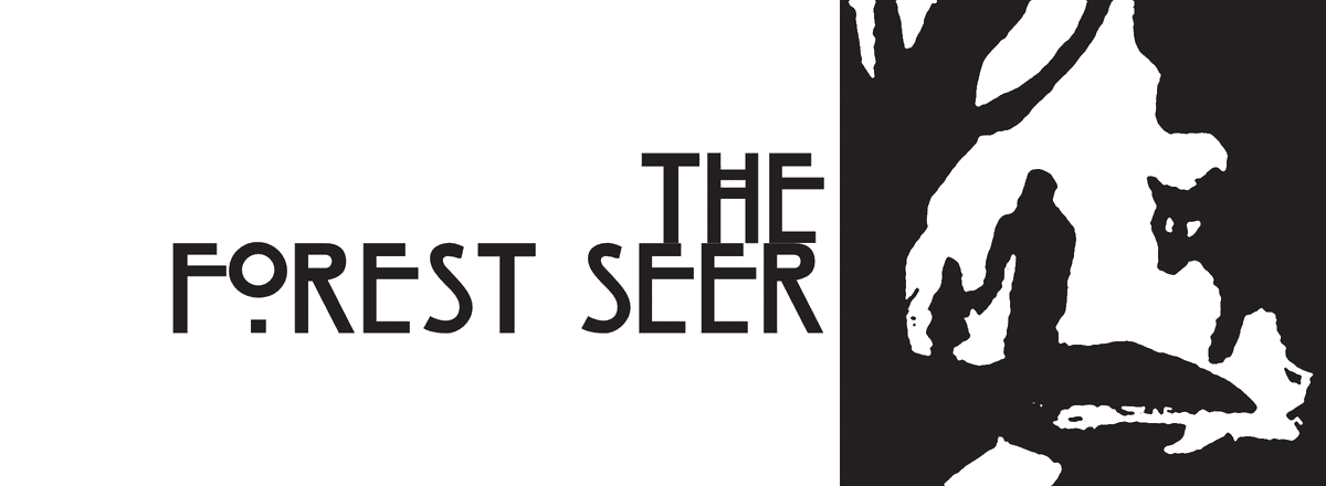 The Forest Seer