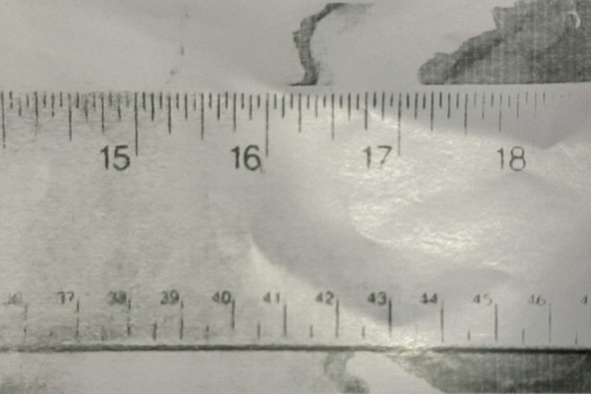 Black and white image of a ruler