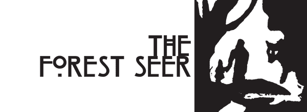 The Forest Seer