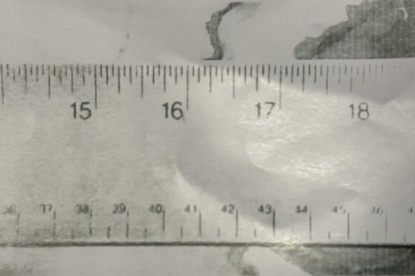 Black and white image of a ruler