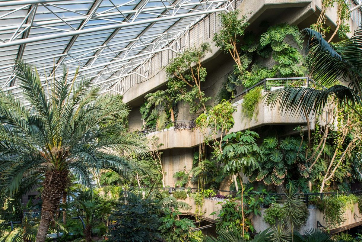 Barbican Conservatory