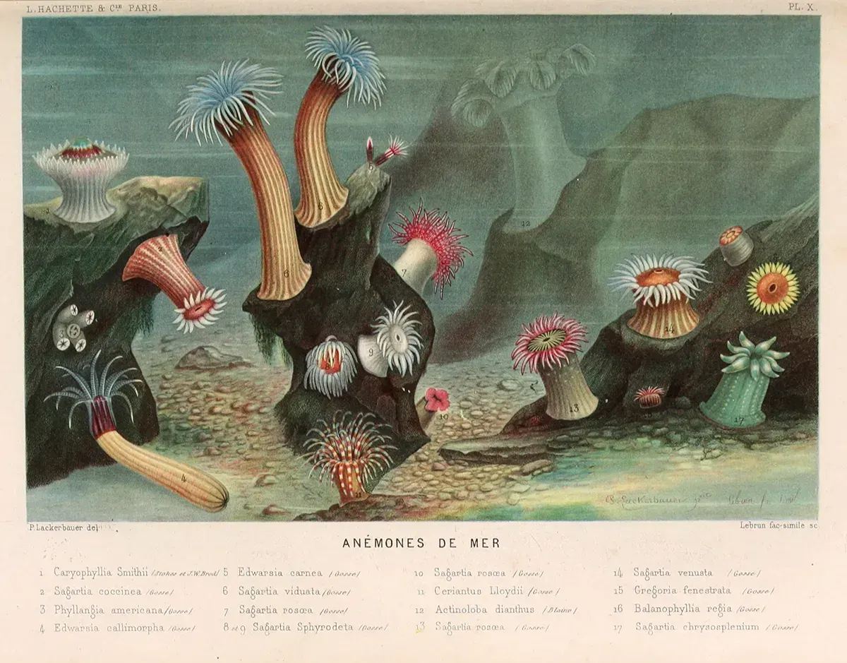 Le monde de la mer