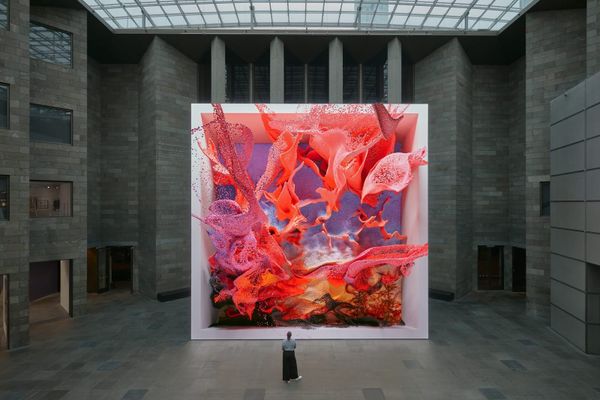 AI art, Ms. Senior America Pageant & Birds of America