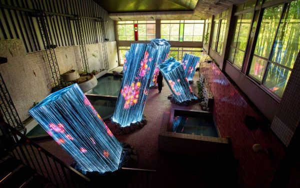 A Forest Where Gods Live