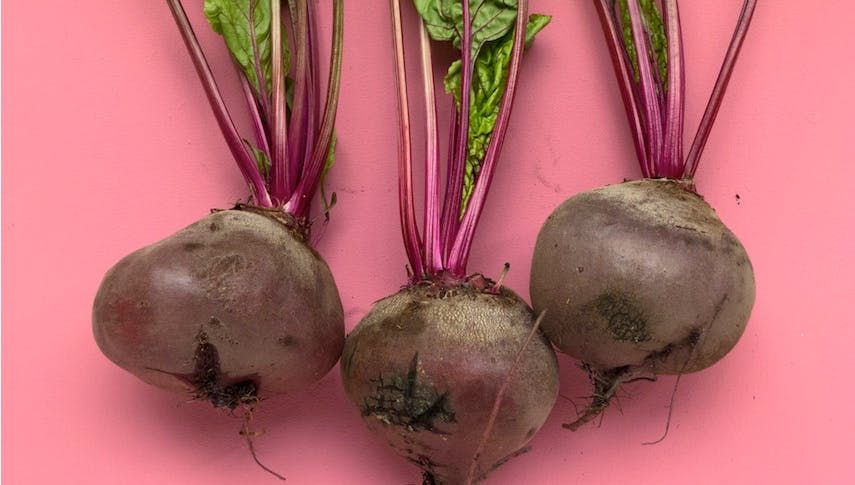 Gemüse anbauen Start up