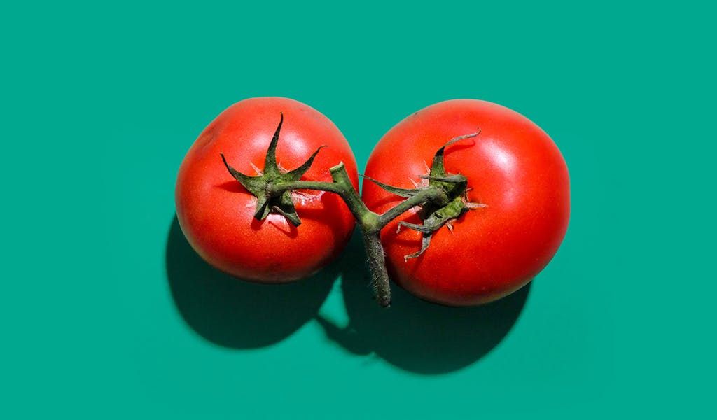 Warum sollten Tomaten nie im Kühlschrank gelagert werden?