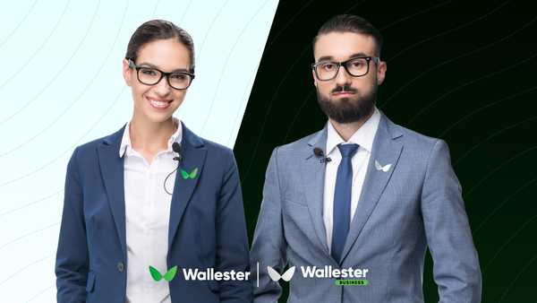 Wie Sie Ihre Finanzen mit Wallester Business organisieren