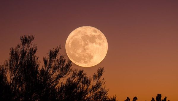 Mond