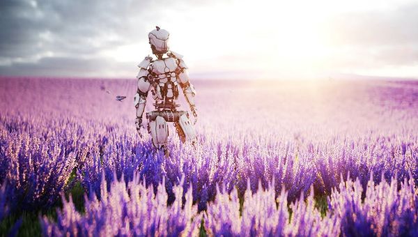 Blick in die Zukunft