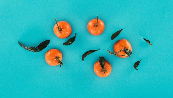 Unterschied Mandarine Clementine