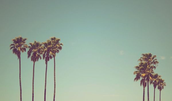 Summer Feelings