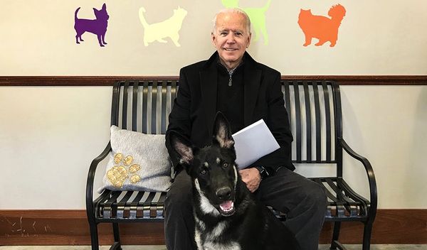 Haustiere US-Präsident