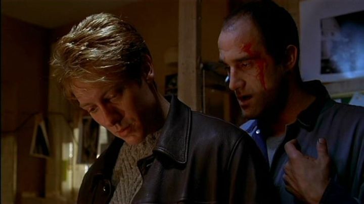 Rear-Ended: Crash (David Cronenberg, 1997)