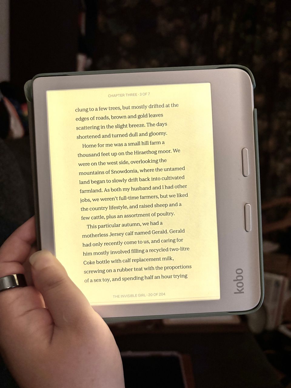 Why I self-publish my ebooks, my thoughts on new Kindle policy, digital content and about my new writing!