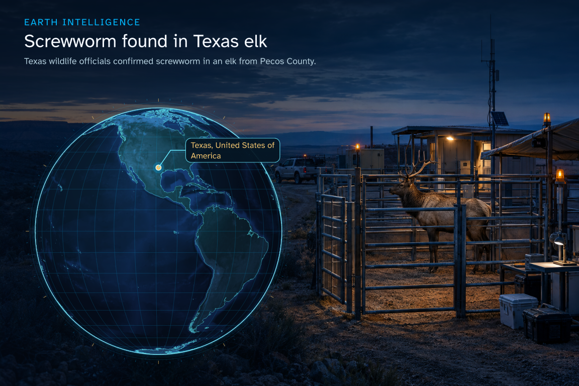 Texas wildlife officials confirmed screwworm in an elk from Pecos County. · Geographic illustration: Texas, United States of America · event location · AI-generated event artwork