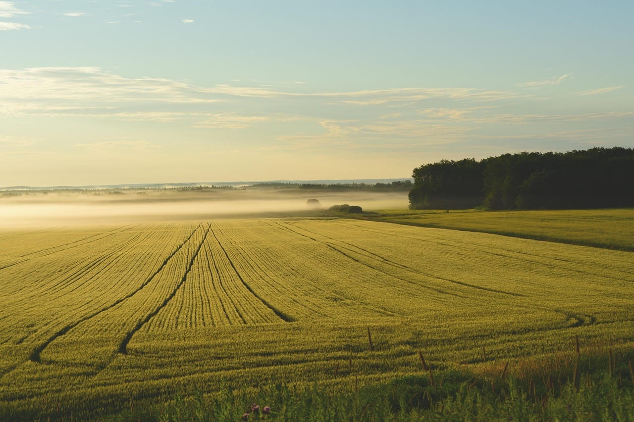 farm, fog, sunrise, dawn, morning, cropland, farmland, land, agriculture, landscape, rural, countryside, nature, farm, land, land, land, land, land — photo from Pixabay