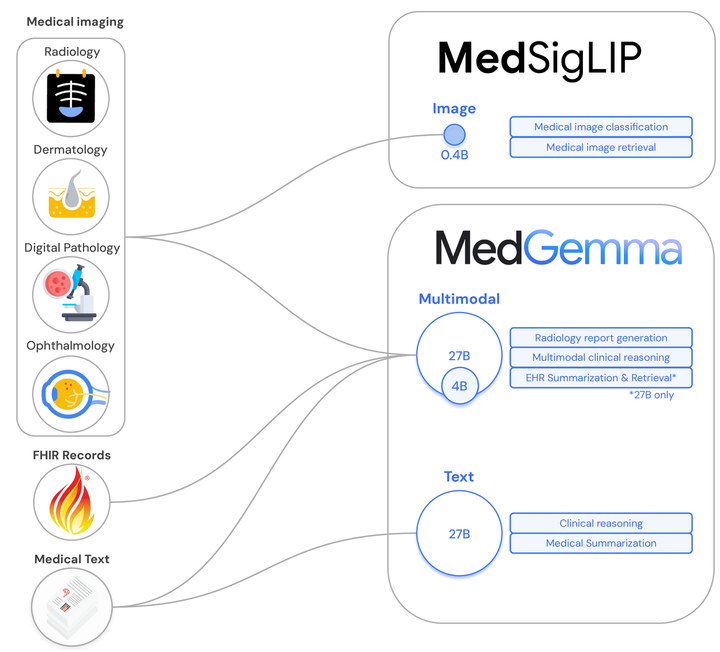 The MedGemma Model Courtesy of Google