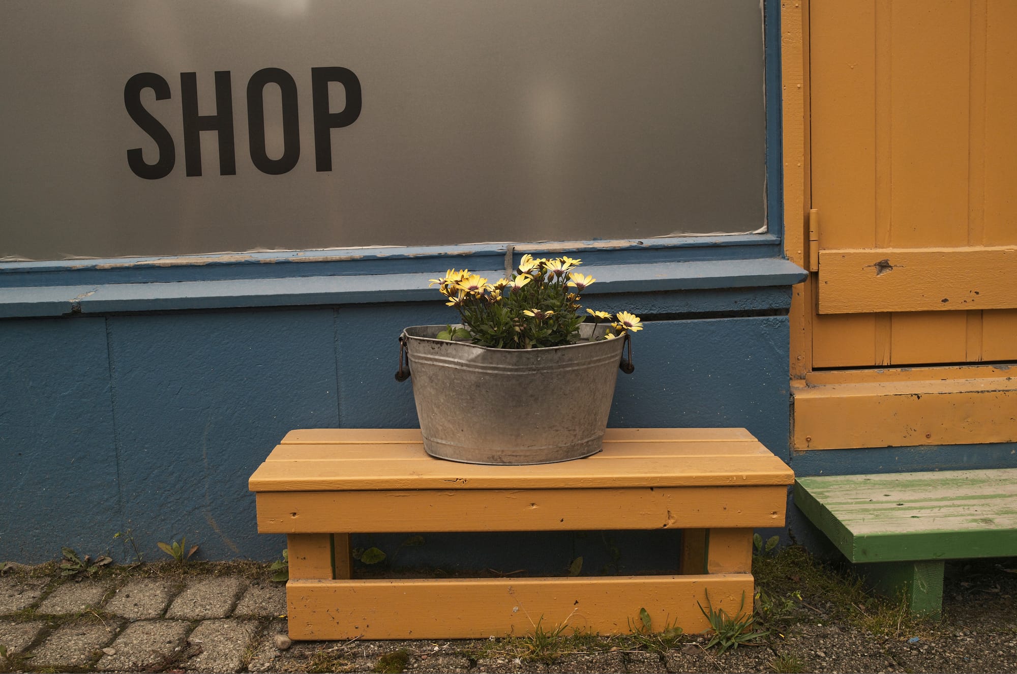Flowers in a bucket on a yellow bench in front of a shop.