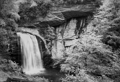 A black and white image of a waterfall in the woods.