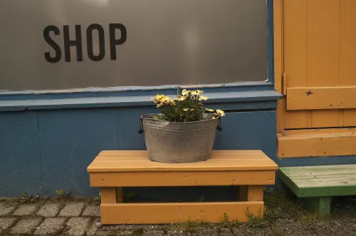 A bucket of flowers on a bench in front of a shop.