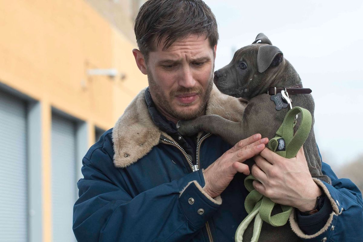 MySpace Tom Hardy and a killer Mother of the Week — Plus Dakan, the first gay West African film
