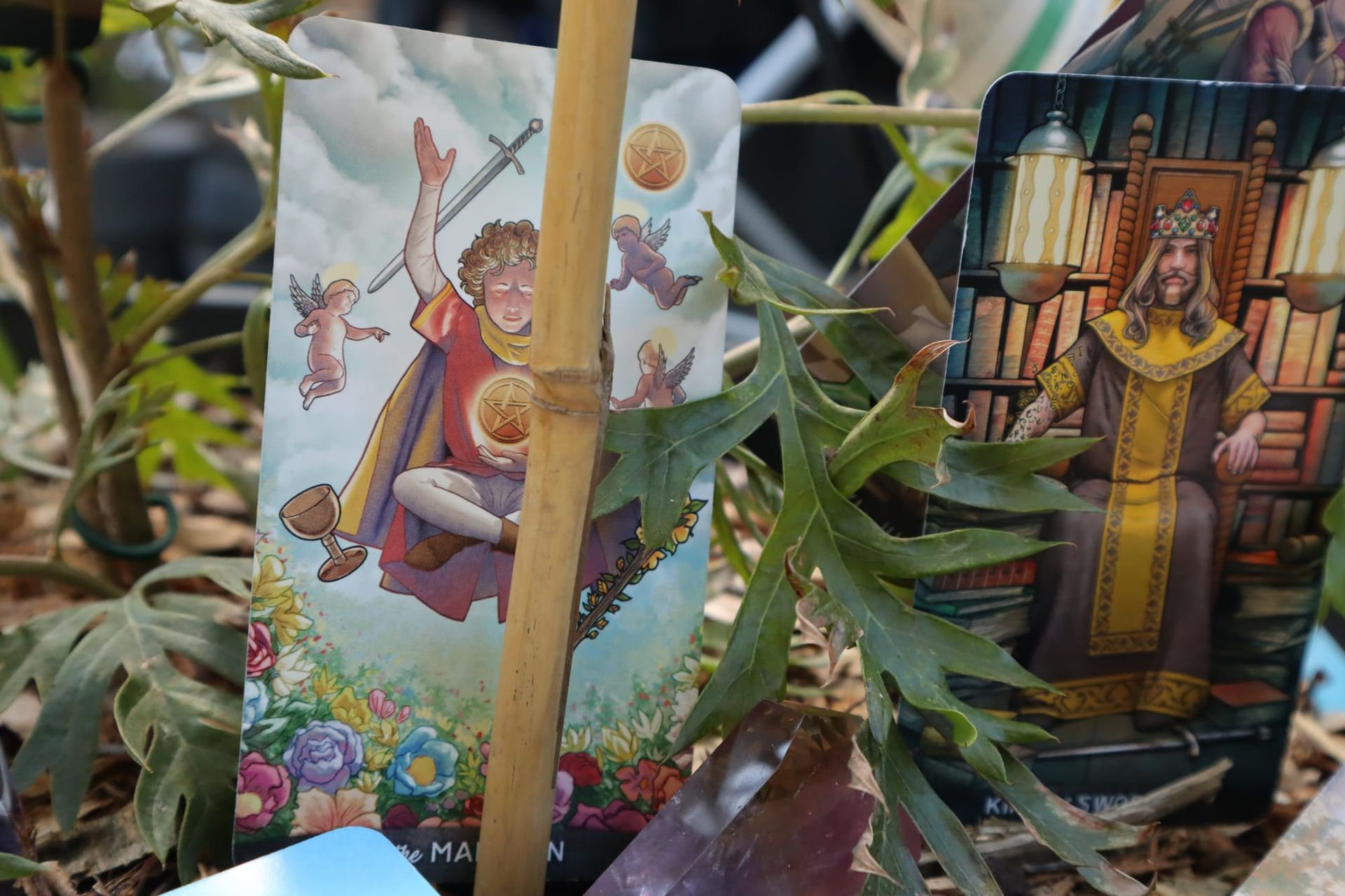 Tarot Readings