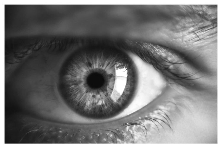 El interés no se fabrica