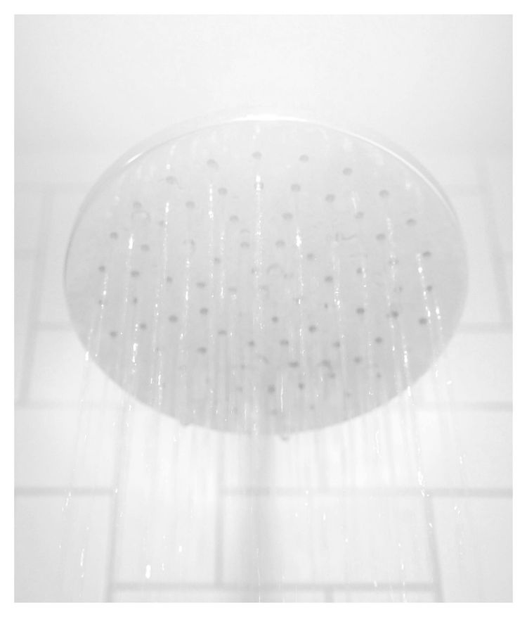 Baños de inmersión