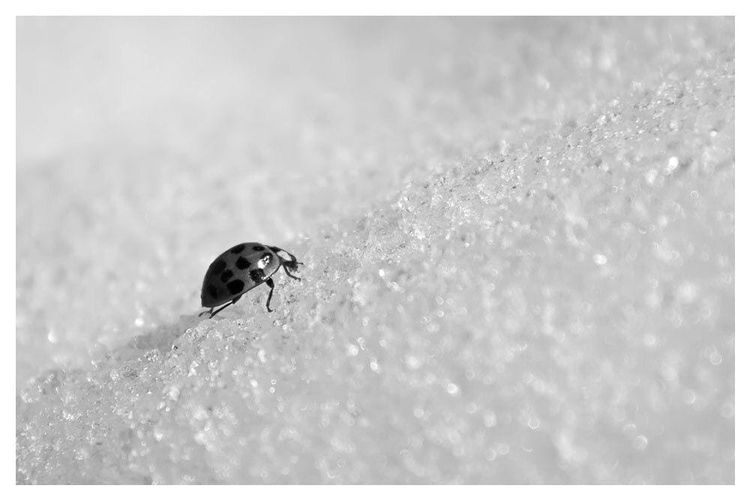 El Source y la necesidad